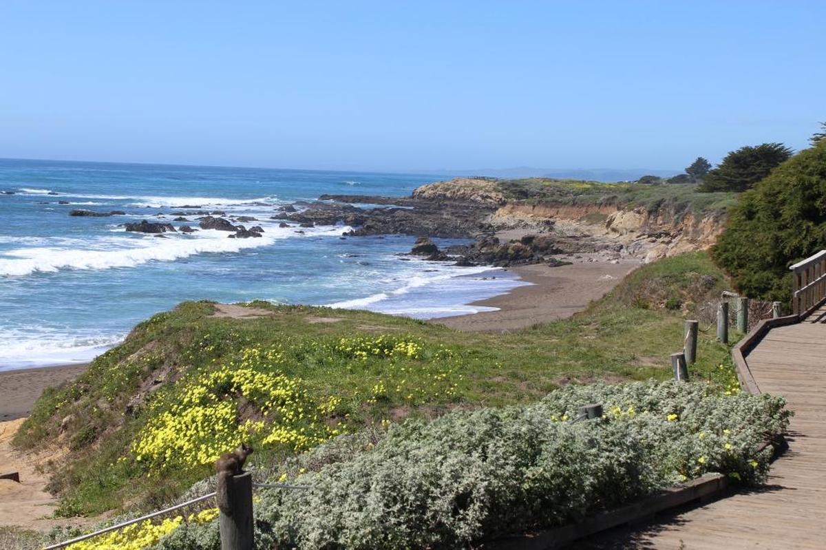 Moonstone Beach Drive offers scenic views such as this one. A popular vista point will be closed for three days Sept. 15, 16 and 19.