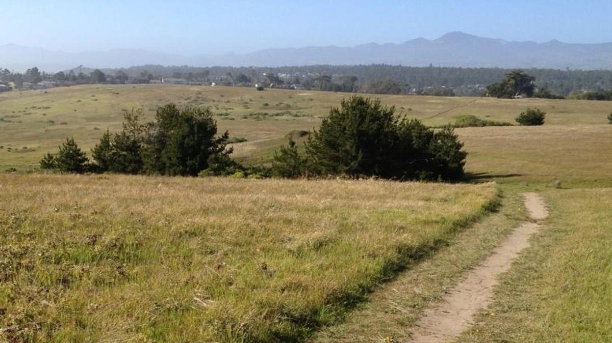 View north up the coast from Cambria’s Fiscalini Ranch Preserve.