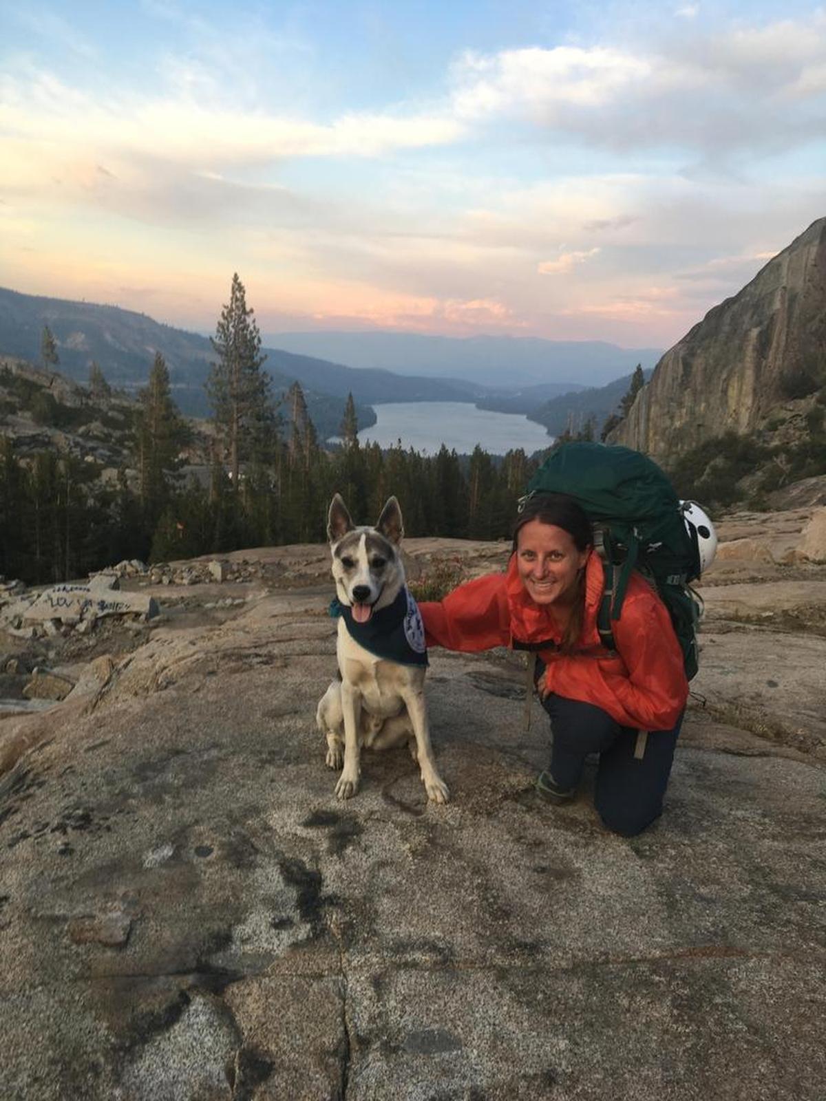 Forest ecologist Sarah Bisbing studied data collected between 2001 and 2016 to determine influences on Monterey pine survival rates.