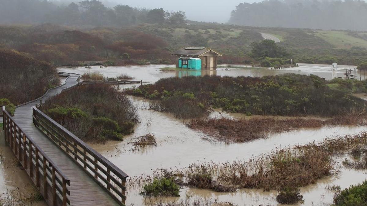 Water from San Simeon Creek floods the Washburn Day Use Area at midafternoon Tuesday, Jan. 19.