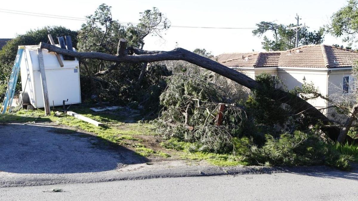 A pine tree struck a trailer on Weymouth Street in Cambria during Sunday’s storm.
