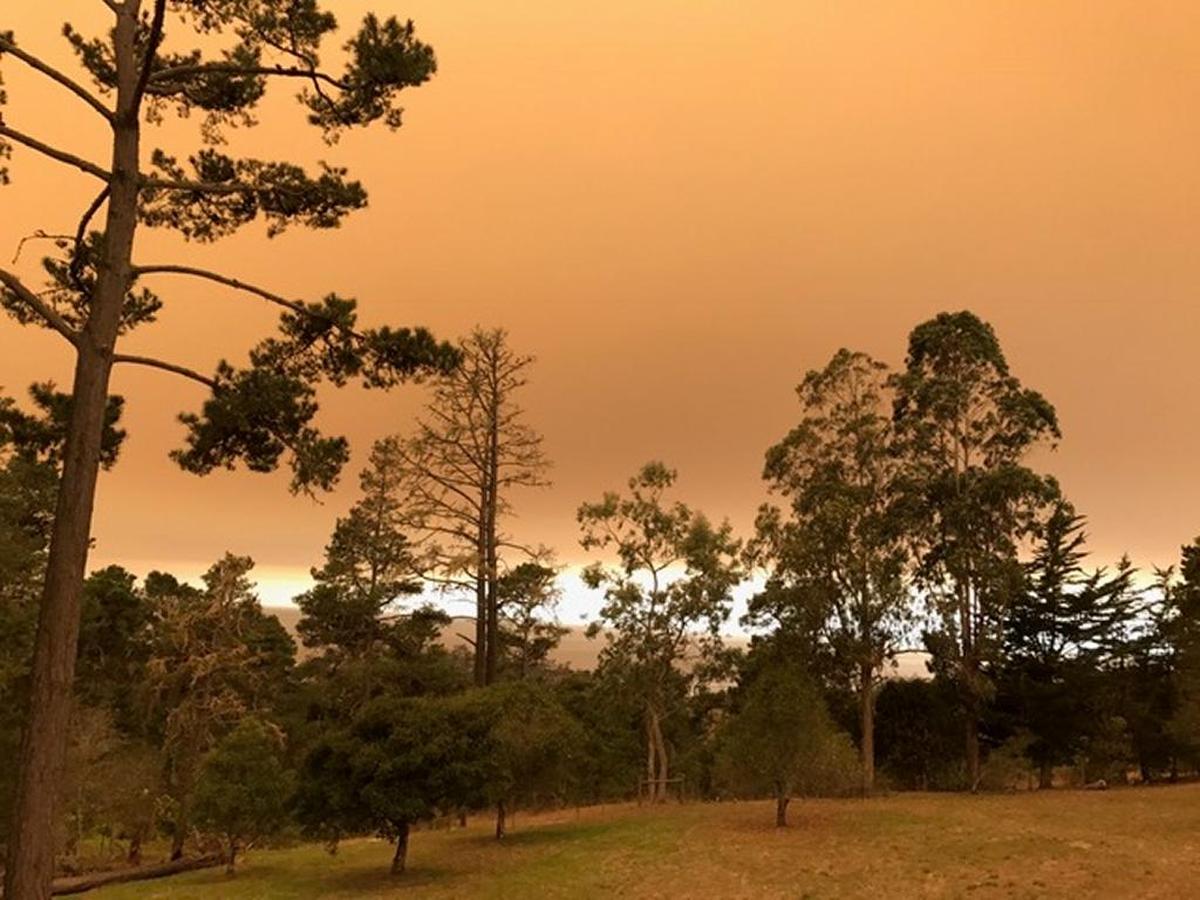 Smoke from 2017 wildfires create an ominous sky over Cambria’s Monterey pine forest.