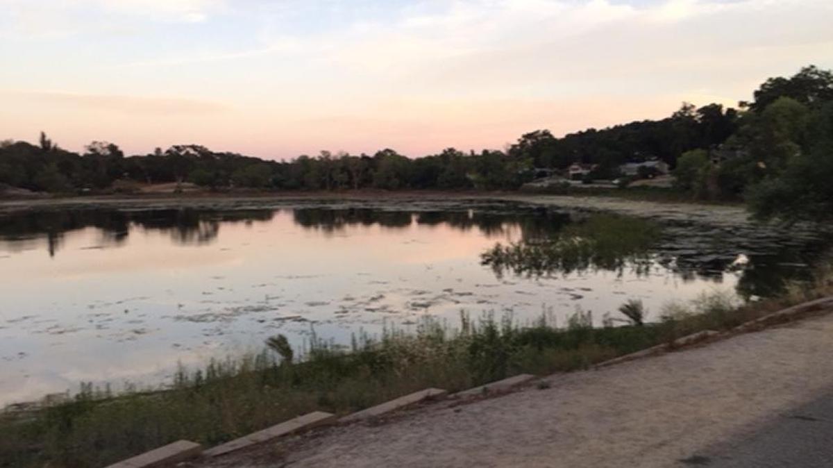 This weekend’s LakeFest aims to gather support for Atascadero Lake, which has been hard-hit by the drought.