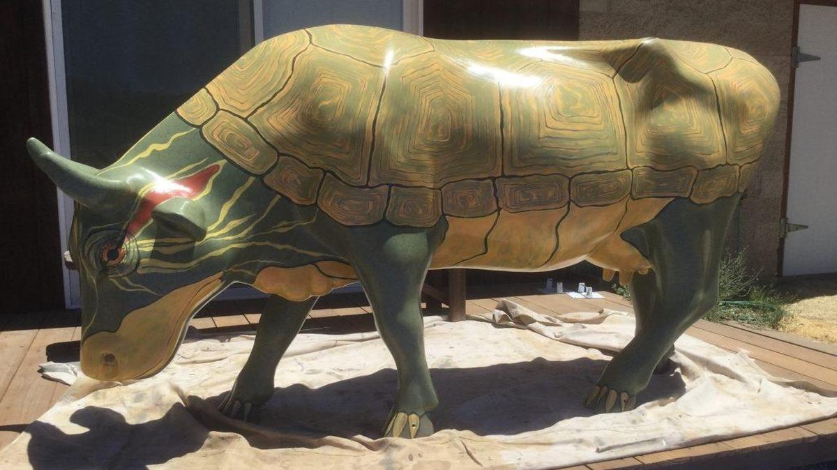 Atascadero’s cow, sponsored by the city of Atascadero and county supervisor Debbie Arnold, is being designed by artist Susan F. Schafer, a zoologist who worked for the San Diego Zoo and the Taronga Zoo in Australia. She did her thesis work at the Galapagos Islands studying giant tortoises — which explains why the cow is painted to resemble a larger turtle.