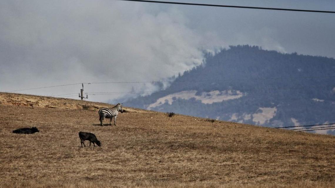 Chimney Fire response comforts this Paso Robles resident