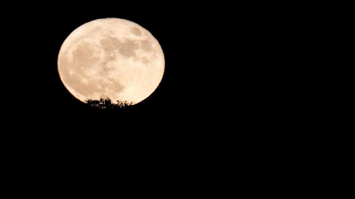 Monday’s supermoon rises over an oak tree near Creston Road outside of Paso Robles.