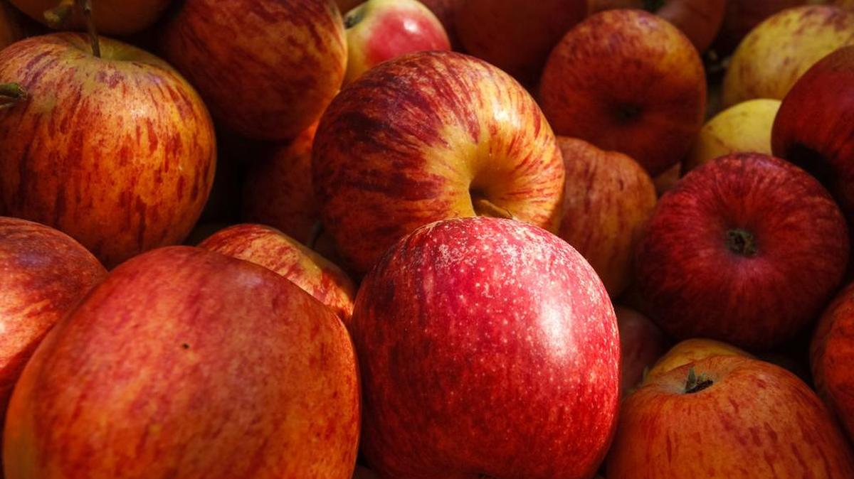 A pile of apples are ready for the taking at Creekside Farms on See Canyon Rd. The annual Apples and Honey festival will take place on Sunday, Sept. 16 at Mitchell Park.