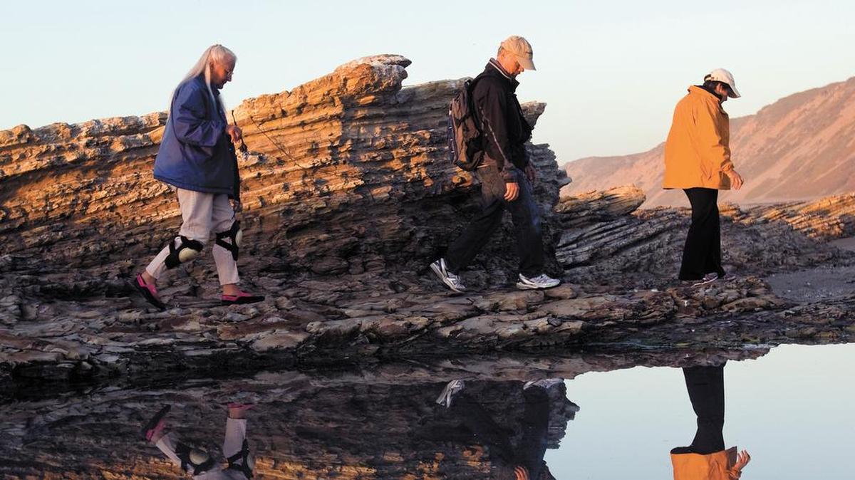 Docent Faylla Chapman, left, leads an Intertidal Life at Hazard Reef walk at low tide at Montana de Oro State Park. Bryon and Vicky Kasper walk along the tidepool.