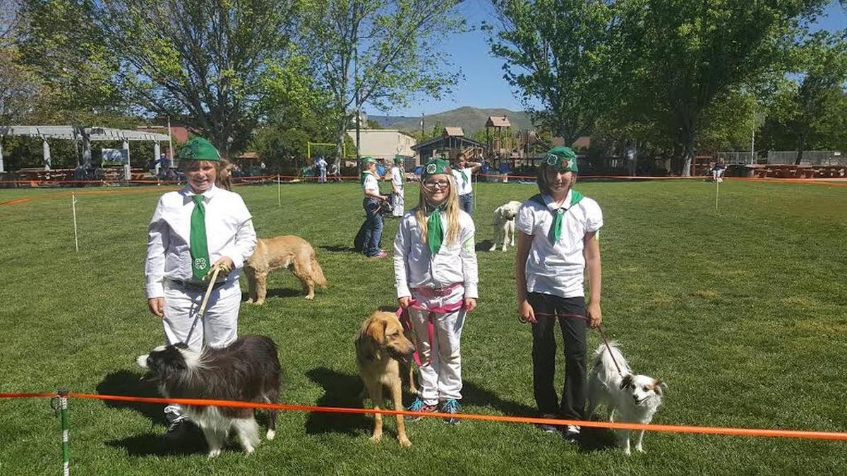 The Cerro Alto 4-H Dog Project trainers participated in the Canyon Country Field Day held recently at Santa Rosa Park in San Luis Obispo. From left, Celtin Vert and his borrowed dog, Addie; Addie Vert and her dog, Marley, and Elsie Ehrheart and her dog, Chloe, wait to hear their scores for obedience.