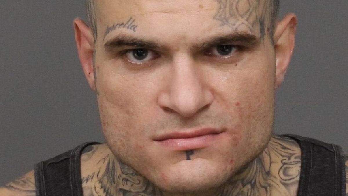 Larry Harvey, 27, a wanted parolee accused of stealing vehicles and burglarizing a home in Shandon, was arrested Friday after a daylong manhunt.