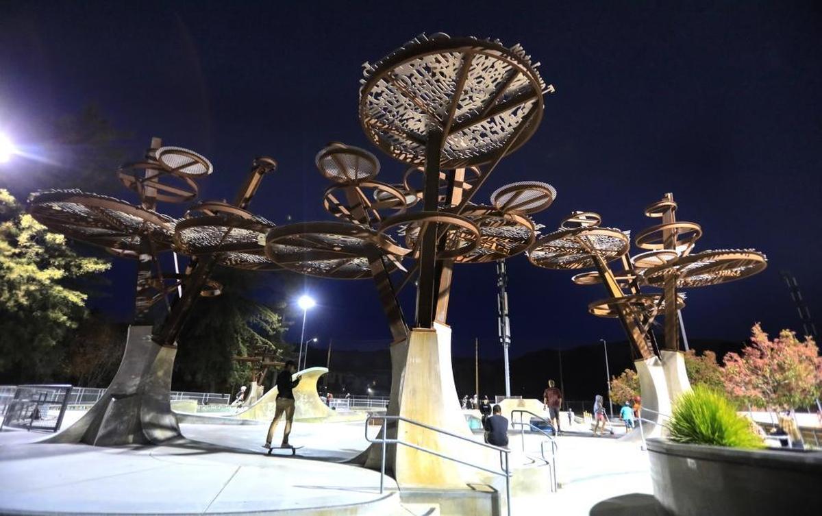 The city of San Luis Obispo has nine public safety cameras, one of which is located at the skate park.