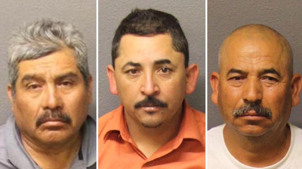 Gabriel Campos-Lopez, Ramiro Morales Buenrostro and Pedro Morales Abotye.