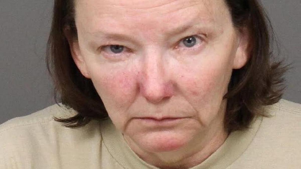 Joyce Ann Perkins