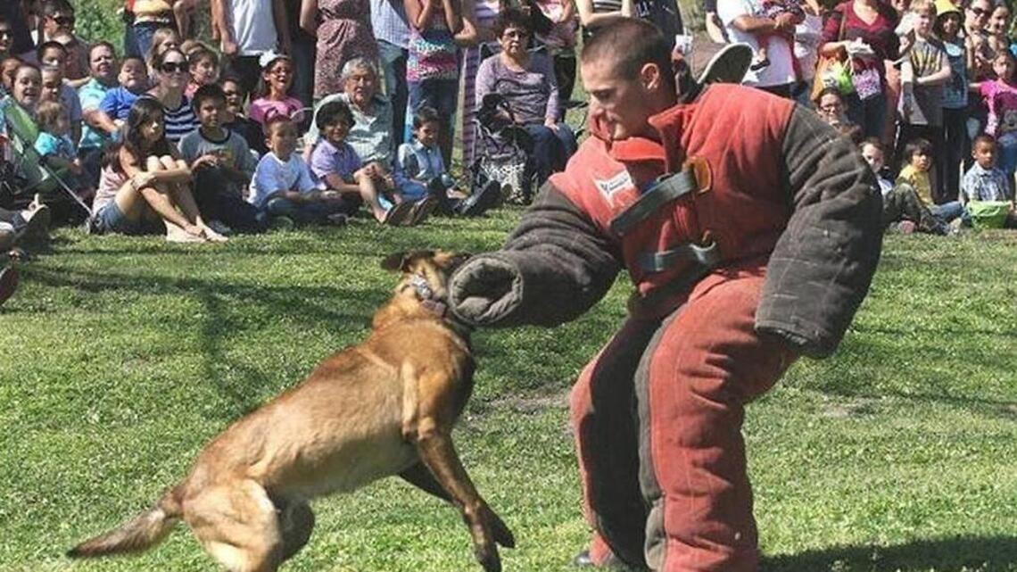 Grover Beach mauling case proves California needs tougher laws on attack dogs