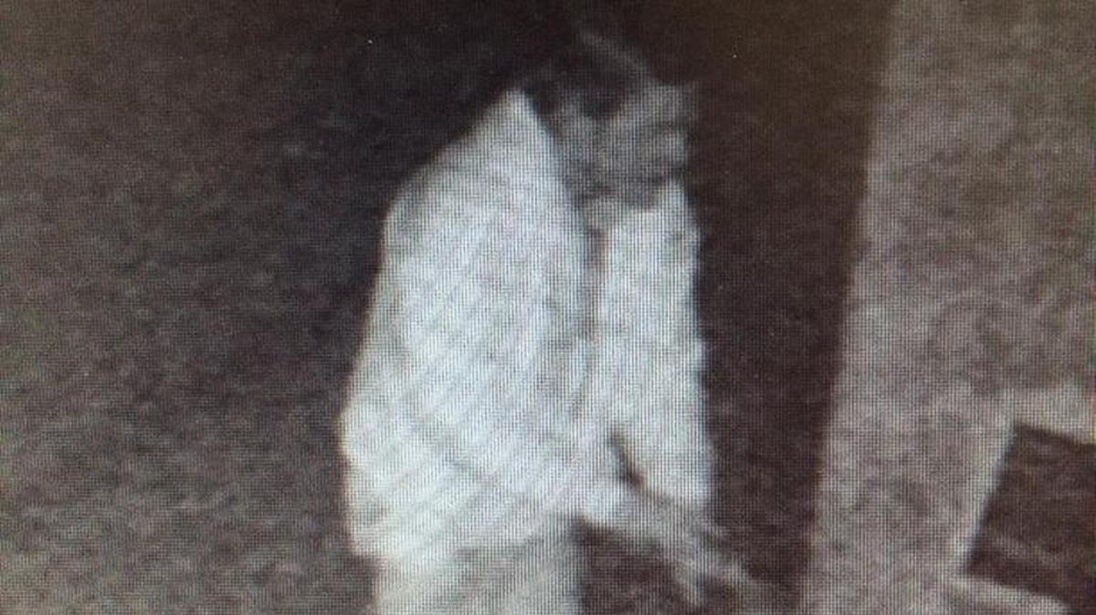 A man allegedly steals money from a roadside stand on Huasna Road in rural Arroyo Grande.