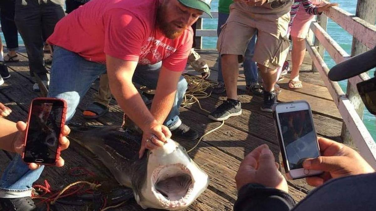 Joshua Carr, 25, of Oceano, poses with a juvenile great white shark he hooked at the Pismo Beach Pier in June.