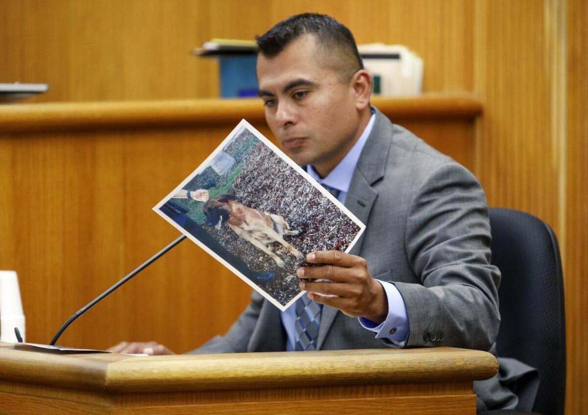 Grover Beach Police Sgt. Juan Leon holds a photo of Neo, the Belgian Malinois involved in a deadly attack in December 2016, during his testimony Tuesday at the preliminary hearing for Alex Geiger. Geiger, the dog’s owner, is charged with manslaughter.
