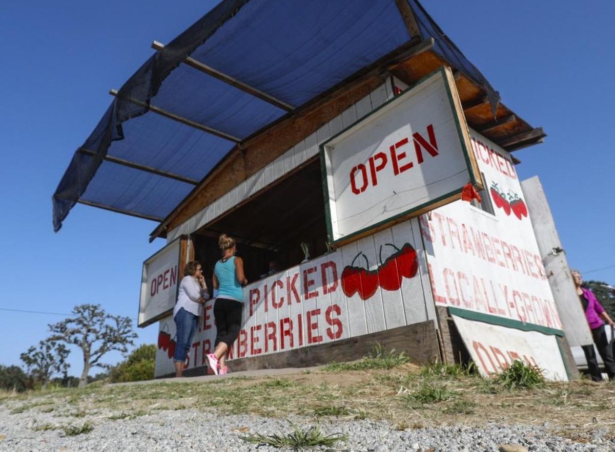 The farm stand at the corner of South River Road and Charloais Road near Paso Robles was threatened with closure.