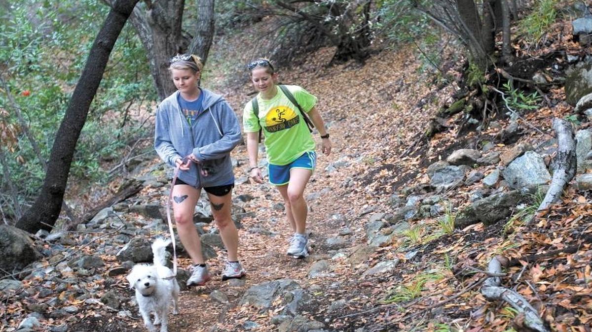 Reservoir Canyon Natural Reserve Trail.