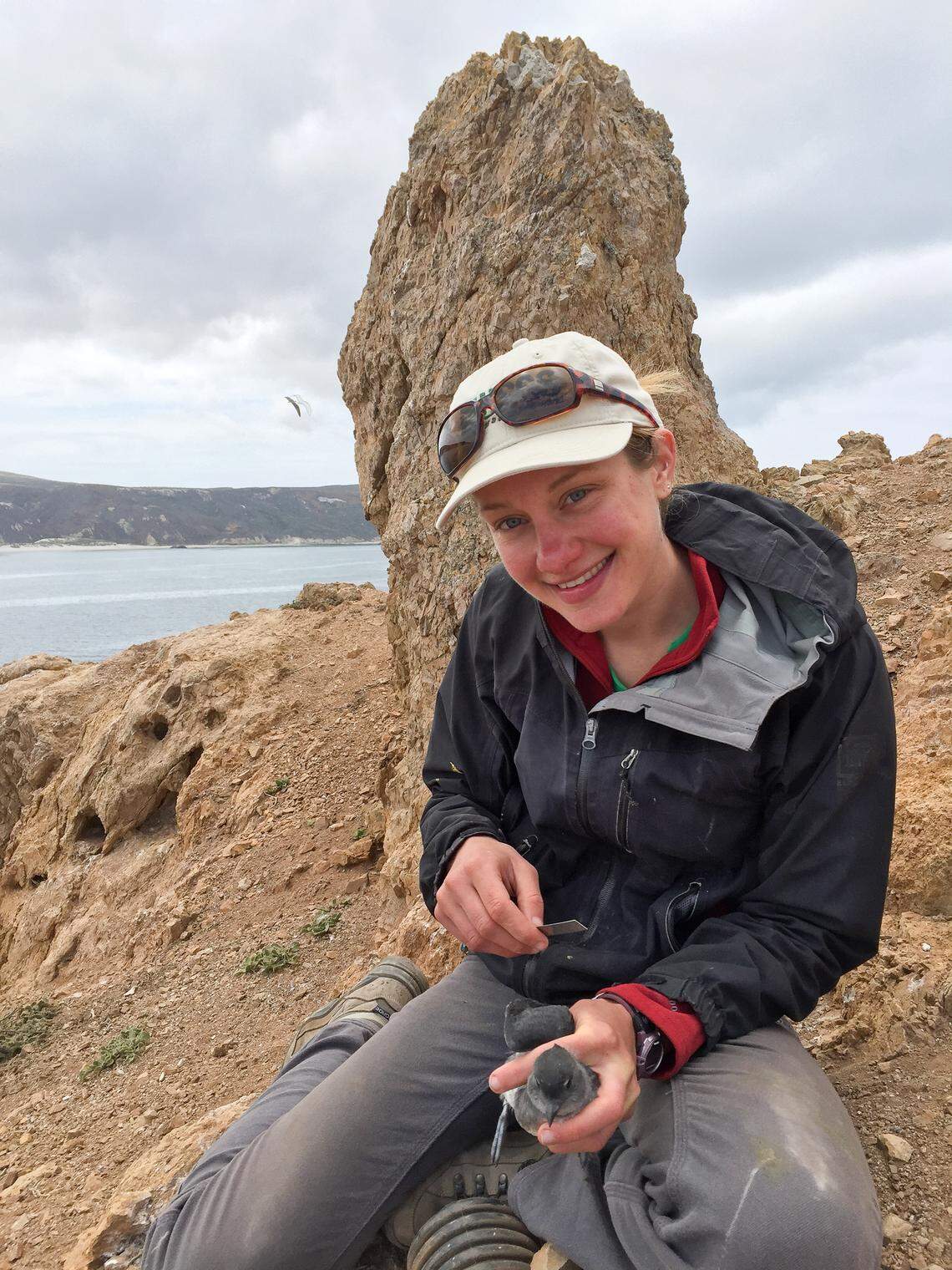USGS wildlife biologist Emma Kelsey holds a Cassin’s auklet in the Channel Islands.