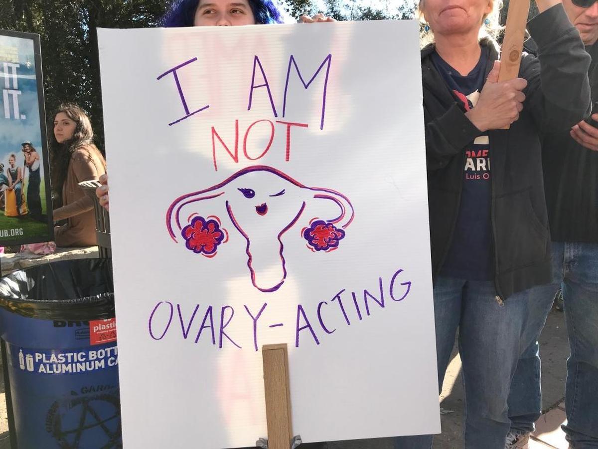 Signs from Saturday’s “Hear Our Vote: Voices of Resistance Rally.”