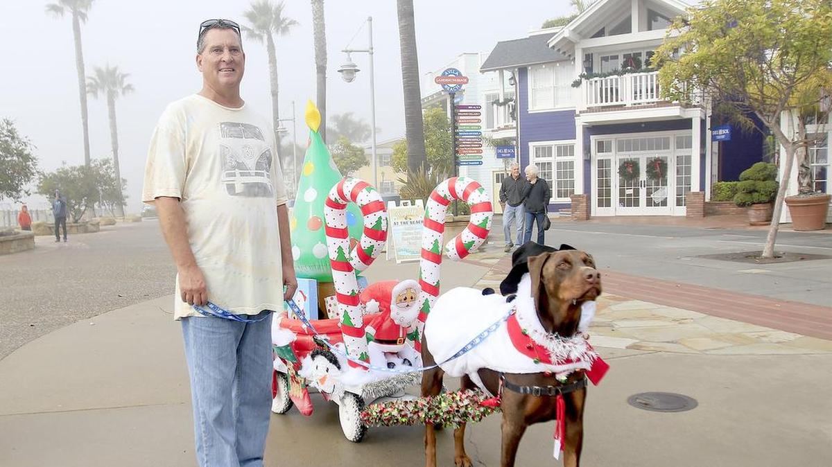 Dogs dressed in holiday costumes paraded the Avila Beach promenade, Saturday, December 10, 2016. Rowdy, a Great Dane, Doberman mix, owned by Jeff Strahl of Avila Beach, wins every year, so the organizers give him the “Rowdy Award” each times he participates.