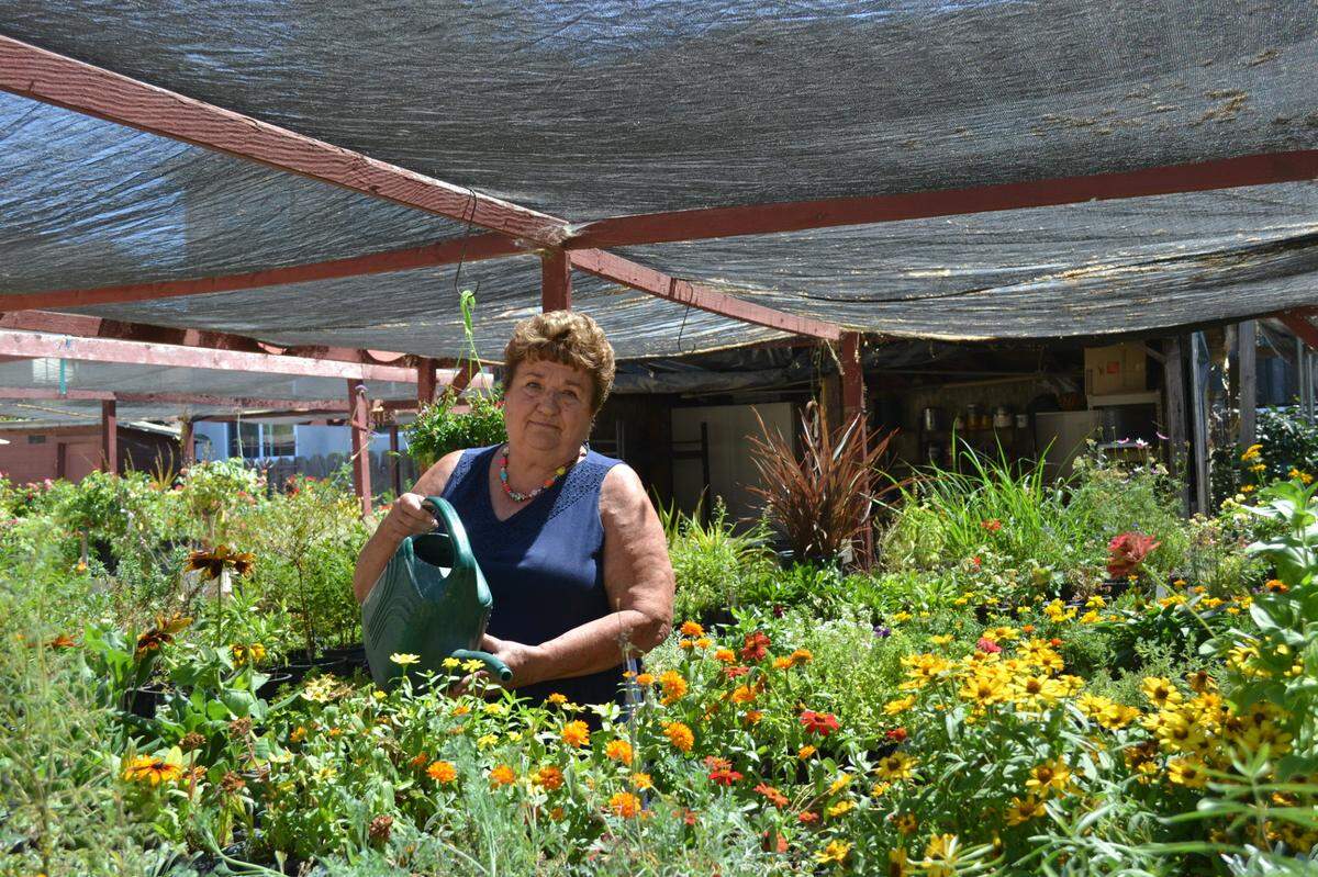 Marilee Paver and her husband Bob plan to retire and sell Moore’s Western Nursery after running the Atascadero business for 41 years.