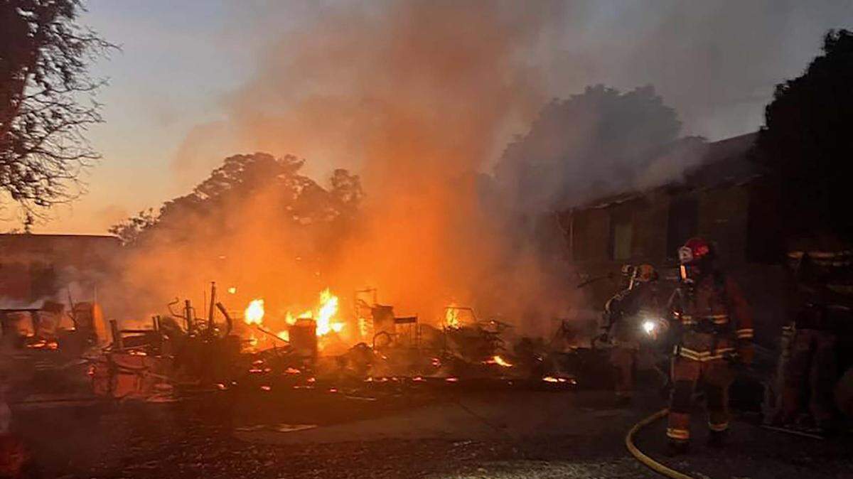 Cal Fire saved a litter of kittens as a home burned to the ground near Morro Bay on Oct. 2, 2023.