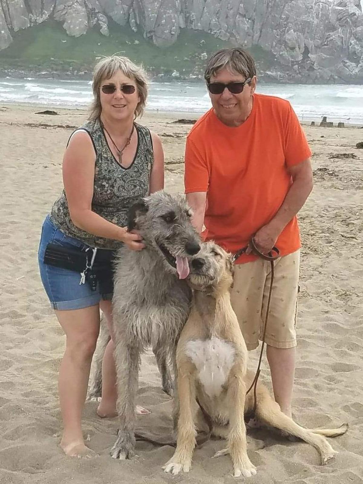 John and Kay Paz were the owners of Faith, the Irish wolfhound who survived valley fever as a puppy with treatment, but died in 2015 after living a normal lifespan (she was 9 and wolfhounds tend to live between 6 and 10 years). Here, they’re pictured in Morro Bay with two of their other hounds, Cushla and Caecey.