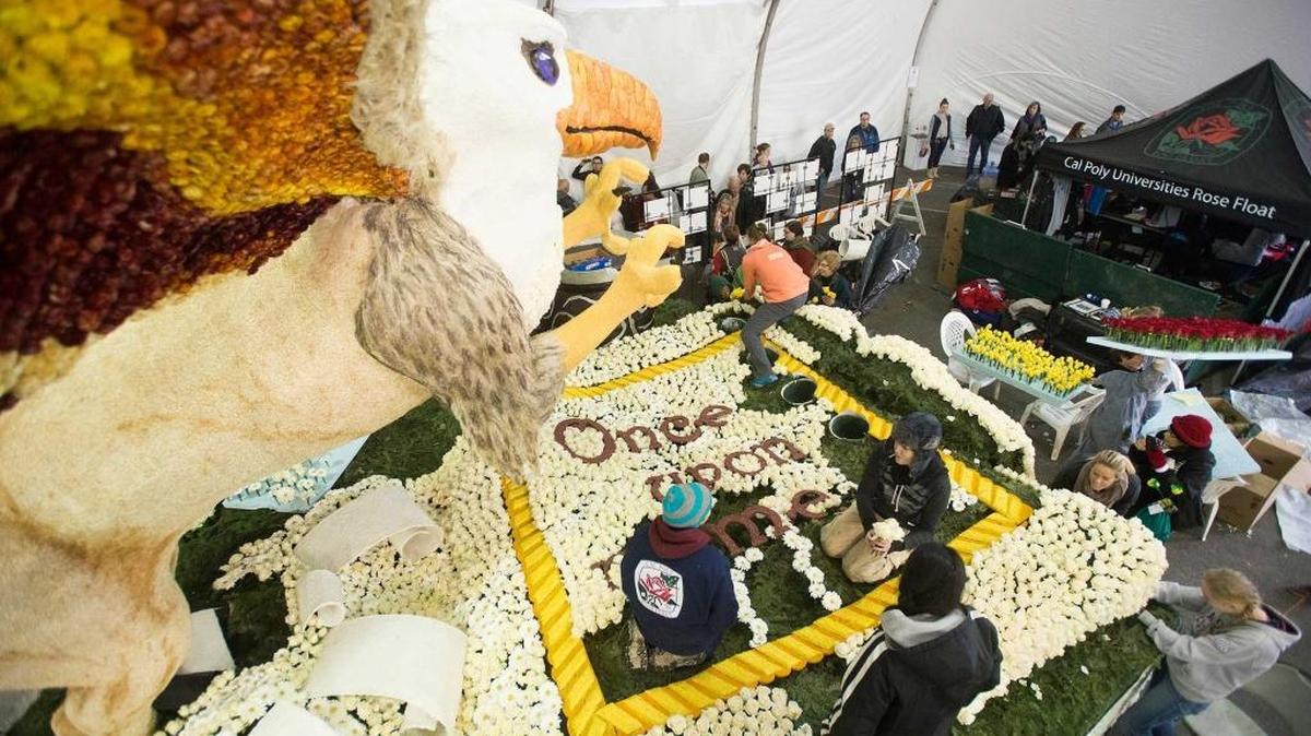 Students and volunteers decorate the 2015 Tournament of Roses Parade float during last year’s Deco Week in Pasadena. Cal Poly is seeking volunteers to help decorate this year’s entry in Pasadena from Dec. 26-30.