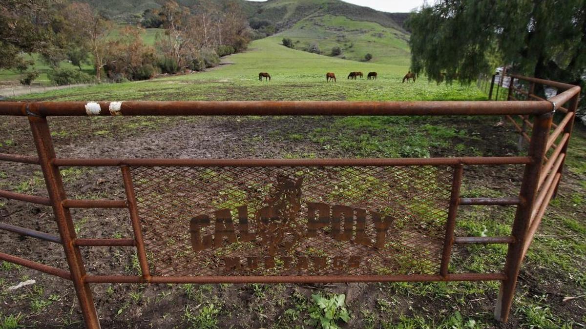 Cal Poly envisions a parcel on university land at the corner of Grand Avenue and Slack Street as the site for a proposed new housing development to provide workforce housing for its faculty and staff.