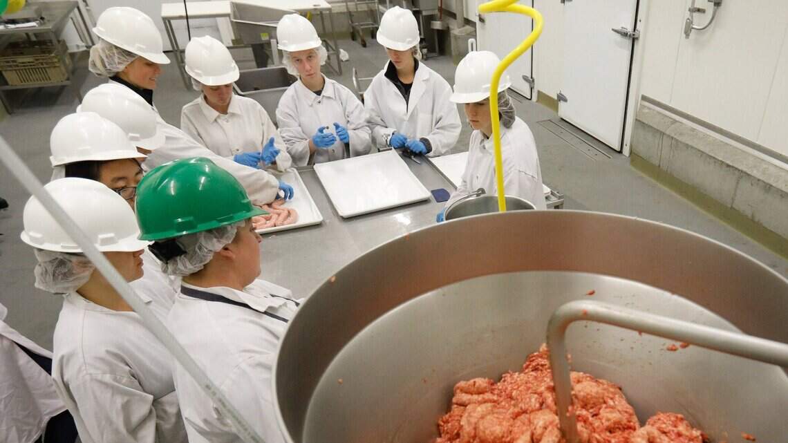 ‘Farm to fork’: Cal Poly meat processing center preps students to enter thriving industry