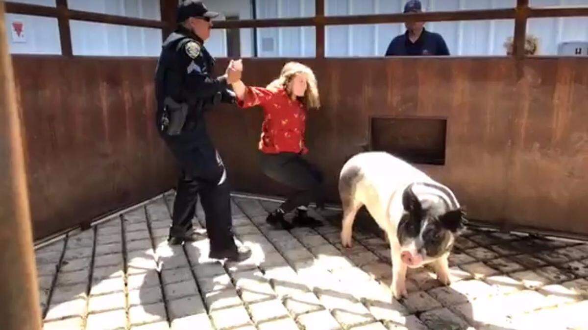 Cal Poly University Police Sgt. Felipe Lucero forcibly lifts animal rights activist Zoe Rosenberg to her feet as she protests the conditions and treatment of pigs kept at the university on Thursday, April 12, 2018.
