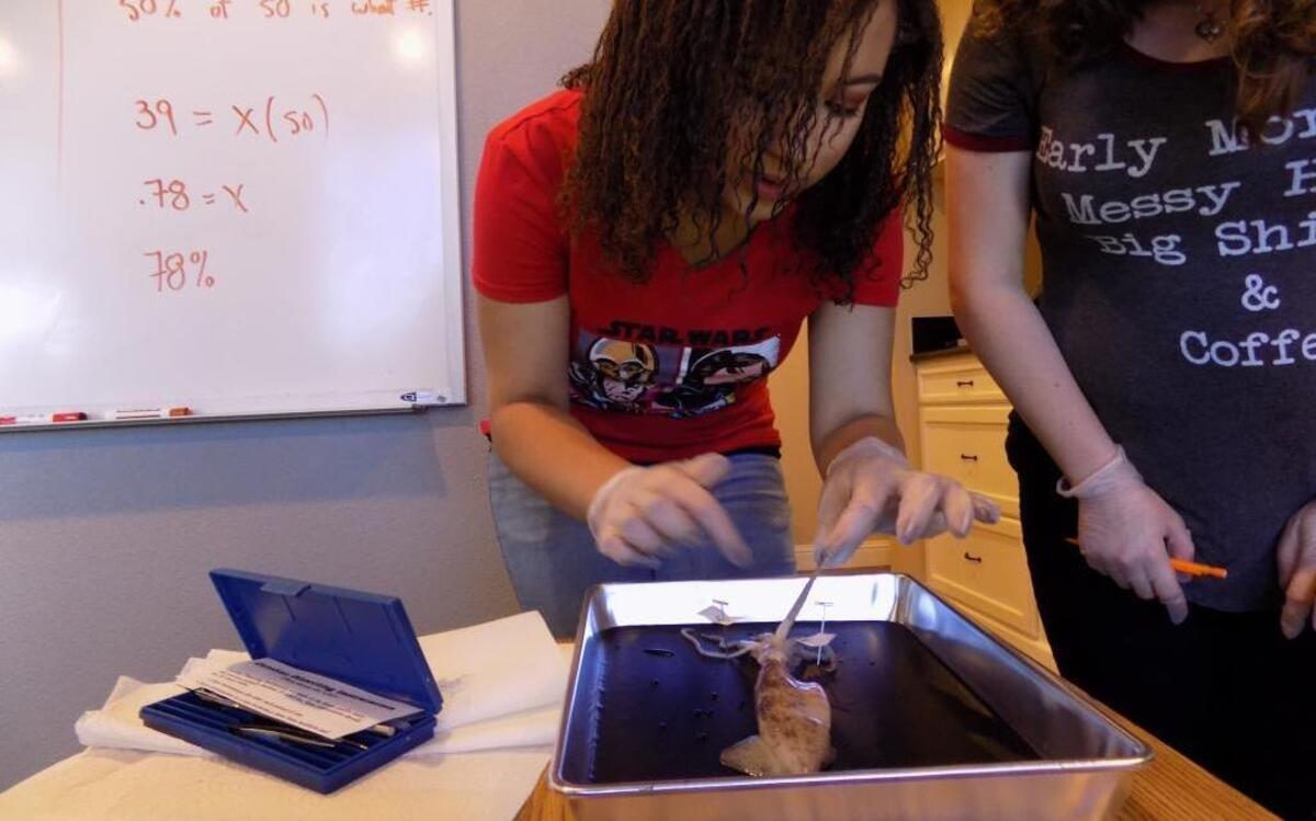 Students of Olive Grove Charter School participate in a biology lab.