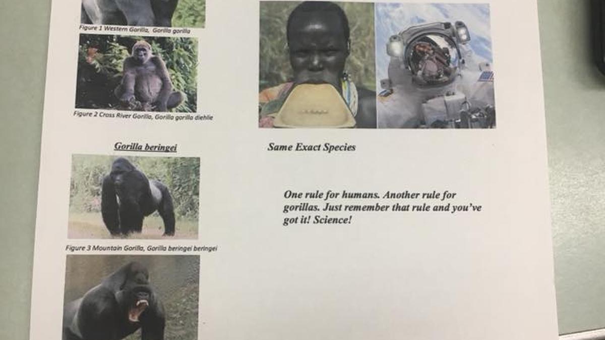 One of the racist flyers found at Cal Poly equates racial differences to different species of gorillas.