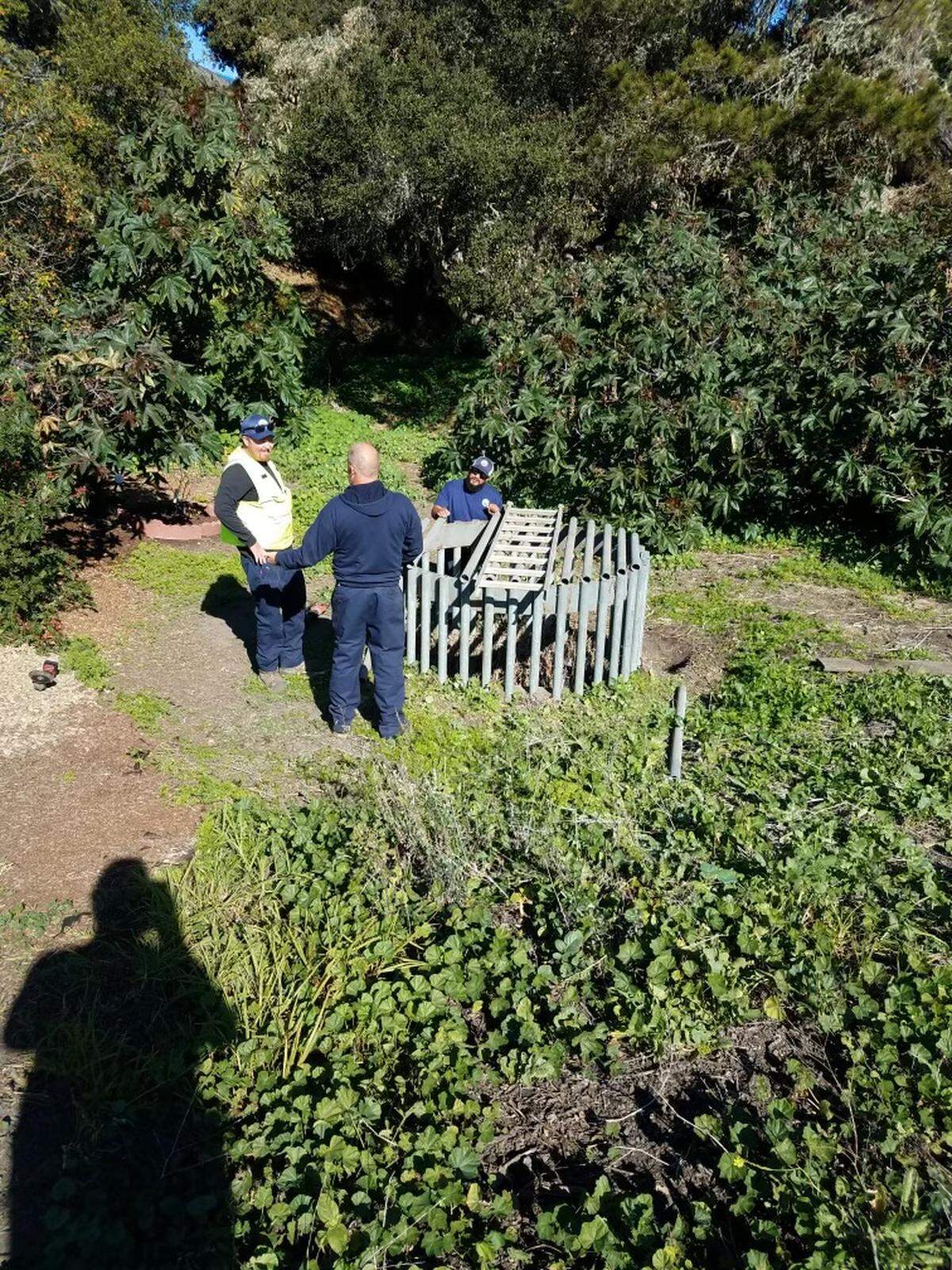 Firefighters rescued Norman the cat from a storm drain on Wednesday, Nov. 16, 2022.