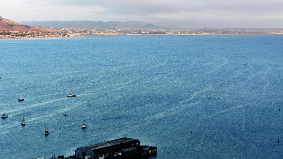 These parallel lines of Langmuir circulation were easily seen at Port San Luis last week. They resemble corresponding paths of dark and light lines on the ocean’s surface that linger up and down the coastline. The scientist who discovered this was Irving Langmuir, who was born in January 1881 in Brooklyn, N.Y. When the winds blow across a flat ocean, long sets of shallow parallel counter-rotating vortices form in the surface waters. These can also develop in lakes and even slow-flowing rivers.