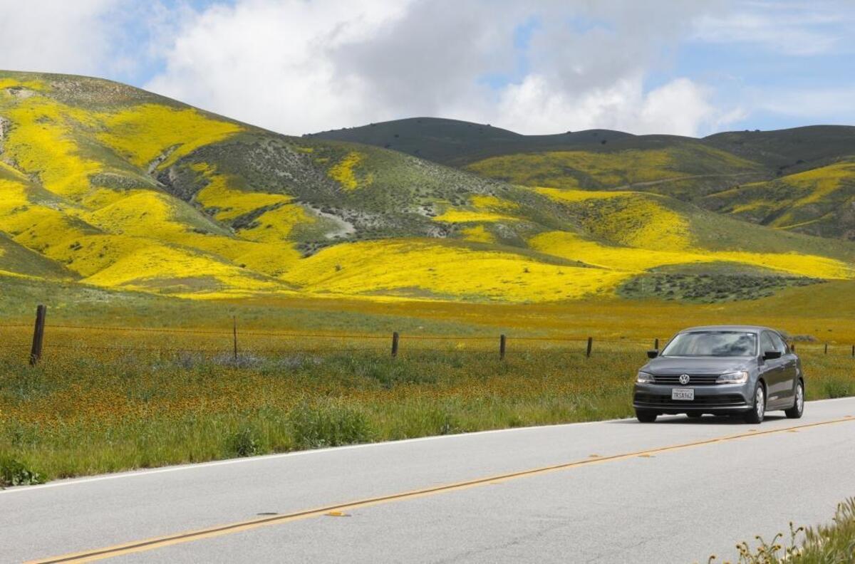The wildflower “superbloom” along Highway 58 near Seven Mile Road near Carrizo Plain in March 2017.