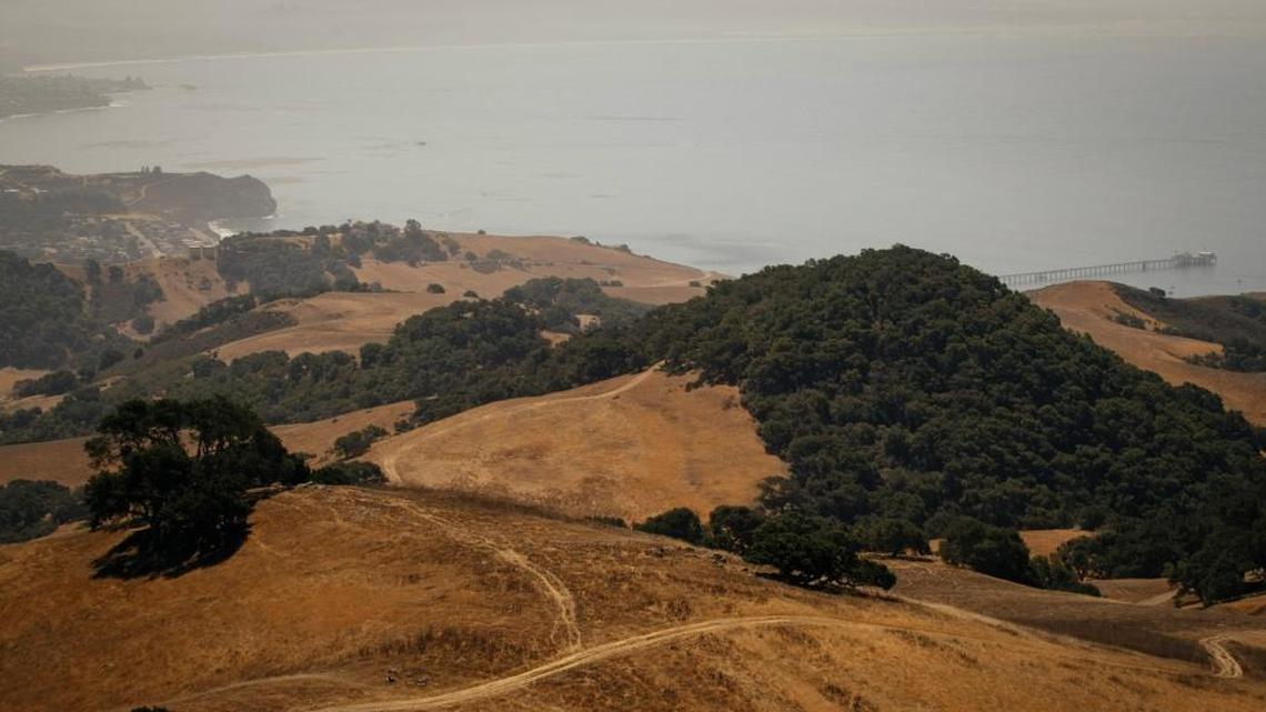 The Cal Poly Pier and the Pacific Ocean can be seen from Wild Cherry Canyon, part of 12,000 acres of undeveloped land surrounding Diablo Canyon nuclear power plant near Avila Beach.