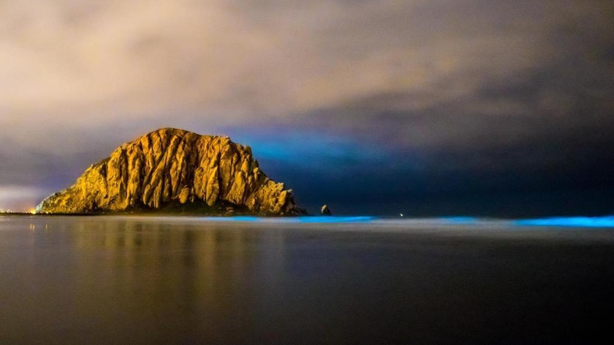Bioluminescent single-cell organisms make the waves glow blue in this photo of Morro Rock.