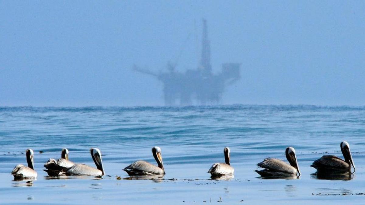 In this May 13, 2010, photo, pelicans float on the water with an offshore oil platform in the background in the Santa Barbara Channel off the coast of Santa Barbara. The Trump administration on Thursday, Jan. 4, 2018, moved to vastly expand offshore drilling from the Atlantic to the Arctic oceans with a plan that would open up federal waters off the California coast for the first time in more than three decades. The channel is one of those areas.