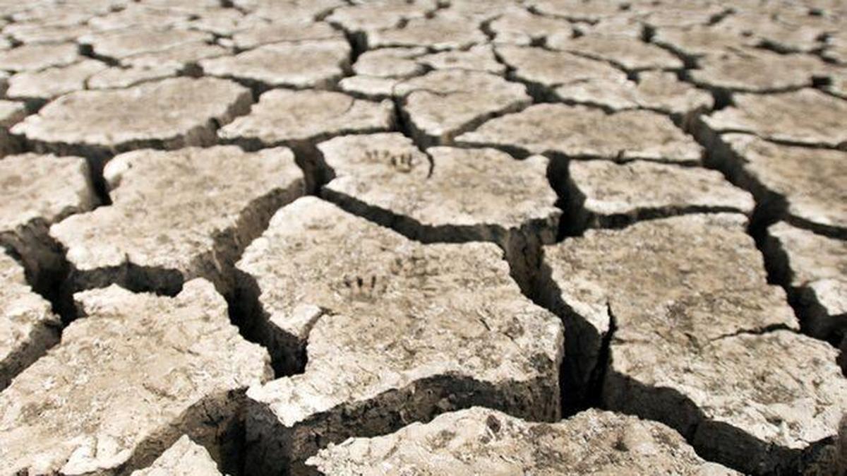 Paw prints grace the dry, cracked lakebed of Laguna Lake in San Luis Obispo in 2016. The city of San Luis Obispo is holding a virtual forum on Jan. 28 to discuss local impacts of climate change.