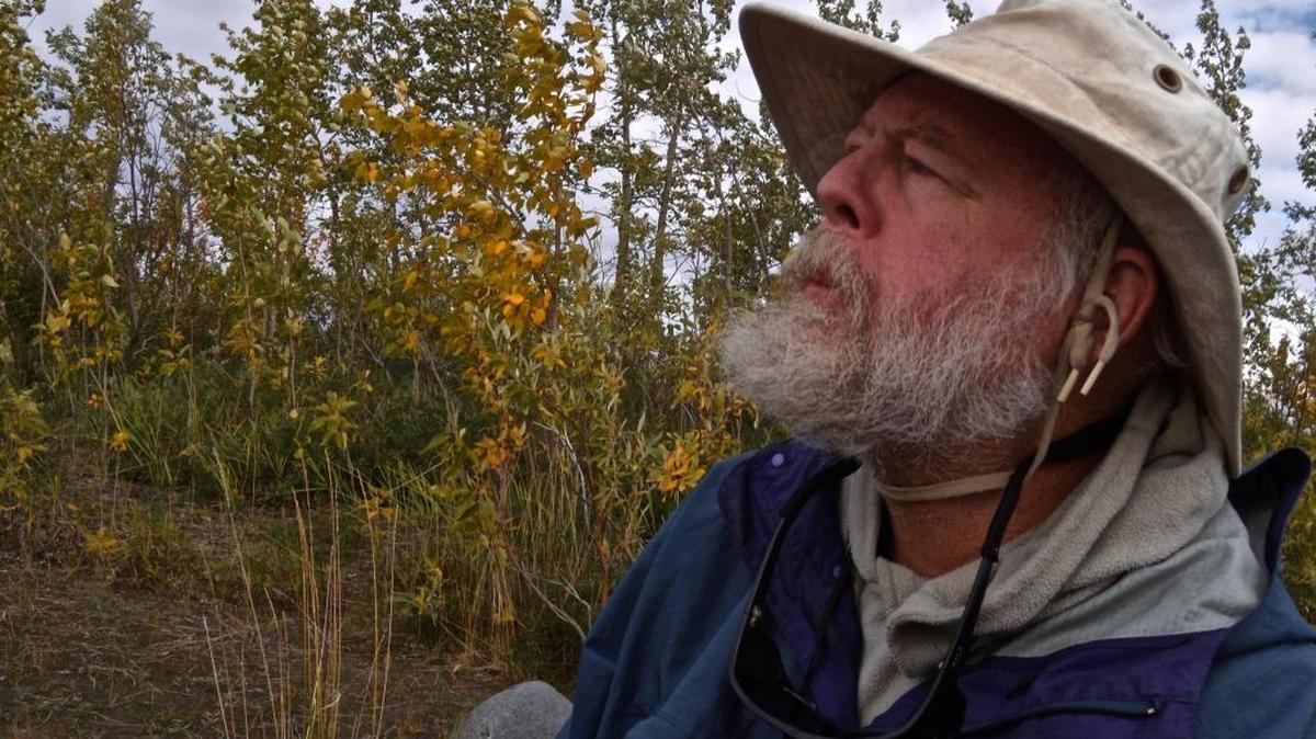 Dave Foreman takes in the view at the Noatak River National Preserve Wilderness Area in Alaska. The environmental activist will speak Oct. 21 as part of the Deep Ecology Collaboratory in San Luis Obispo.