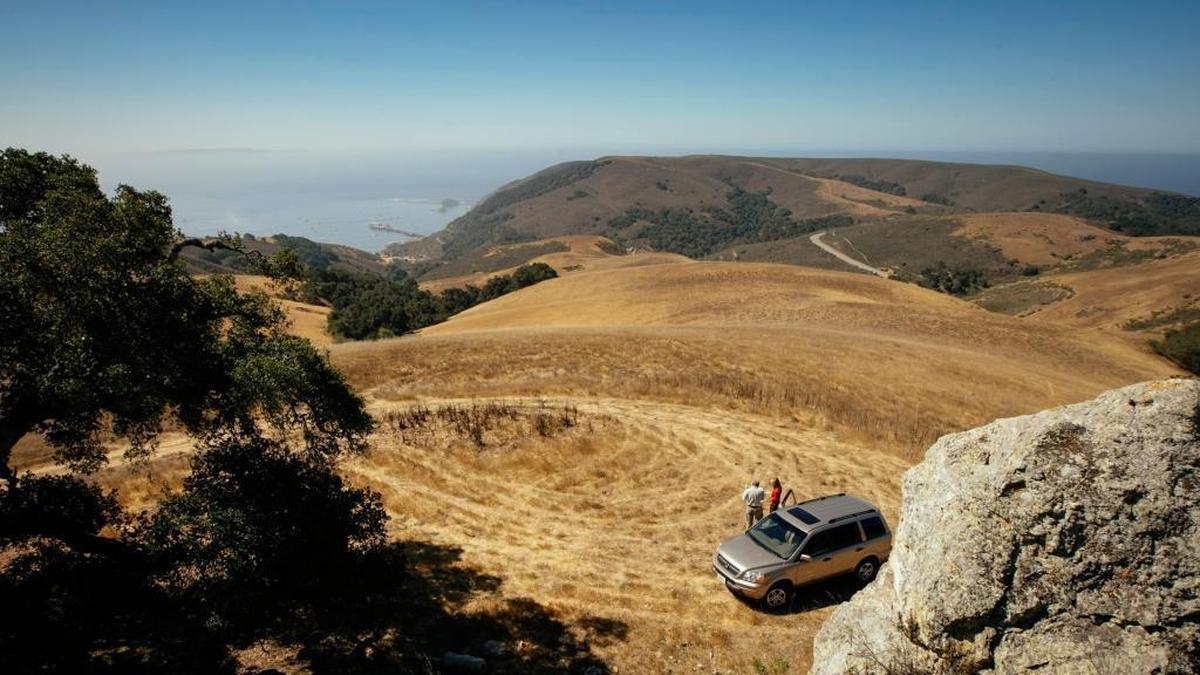 The higher elevations of the Wild Cherry Canyon property offer ocean views from Montaña de Oro to Point Sal on a clear day.