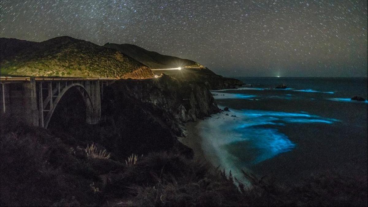 Glowing blue waves, caused by bioluminescent dinoflagellates, create a mesmerizing scene near the Bixby Creek Bridge in Big Sur.