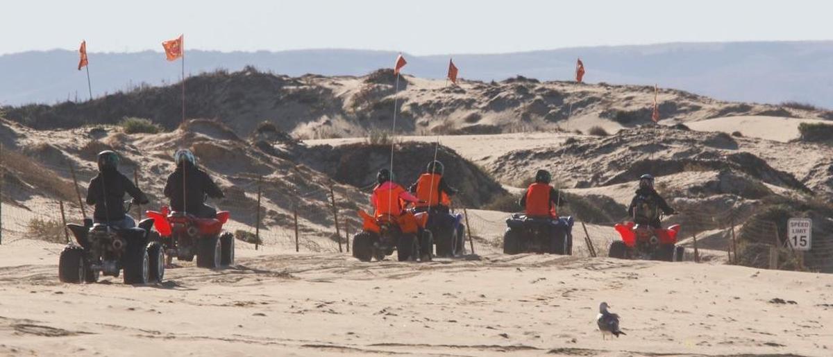 A group of riders heads out for a morning on the Oceano Dunes SRVA.