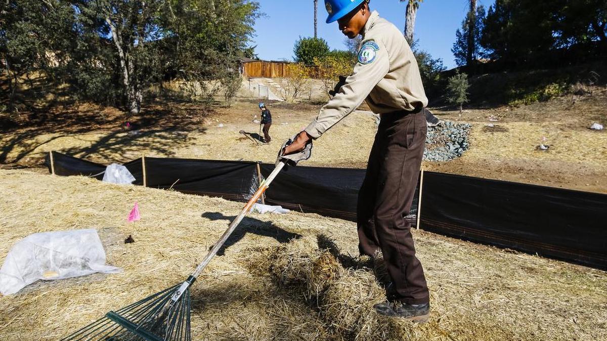 J.D. Briscoe and other members of the California Conservation Corps work on restoring 400 feet of the creek bed along the Centennial Trail in Paso Robles Thursday, Nov. 12, in preparation for winter storms.