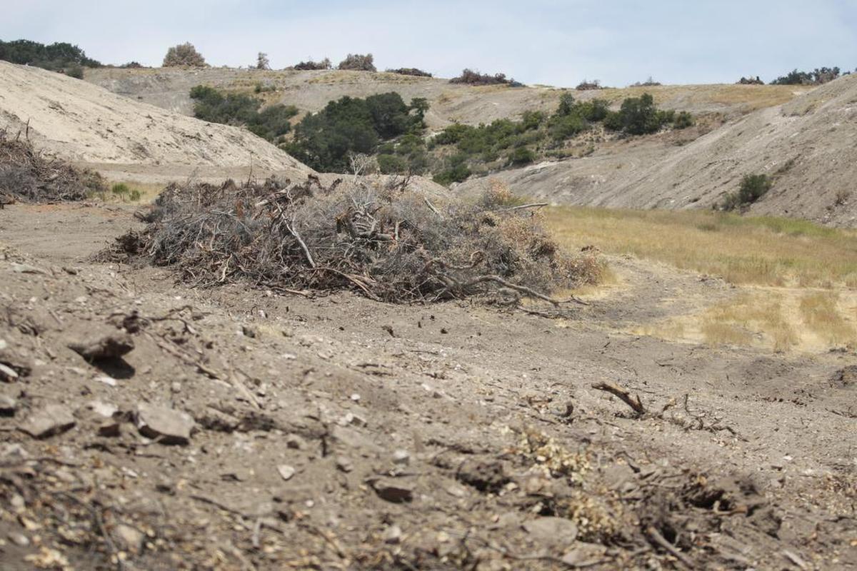 The Justin Vineyards and Winery property in June 2016, after thousands of trees were removed from its hillsides. Cal Poly plans to name a wine and viticulture facility after the company, which donated $2.5 million to the a campaign to build the facility.