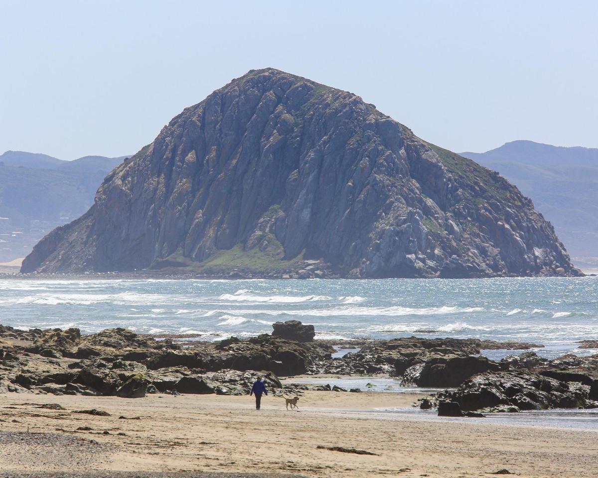 Commonly known as Dog Beach between Morro Bay and Cayucos, Morro Bay is in talks to buy portions of the property along Highway 1.