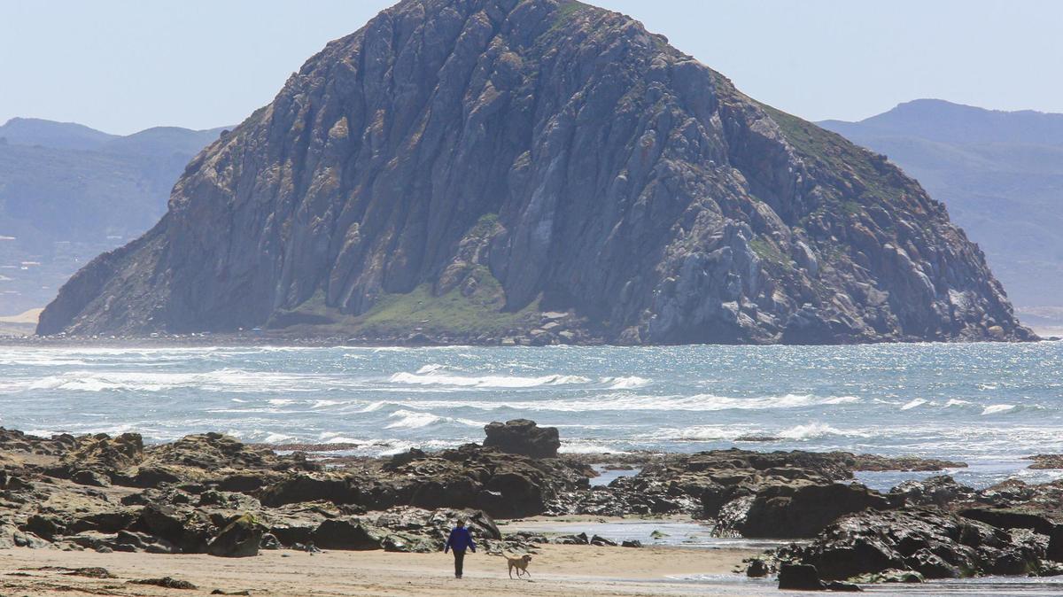 The new coastal trail spanning between Morro Bay and Cayucos will pass by the popular dog beach.